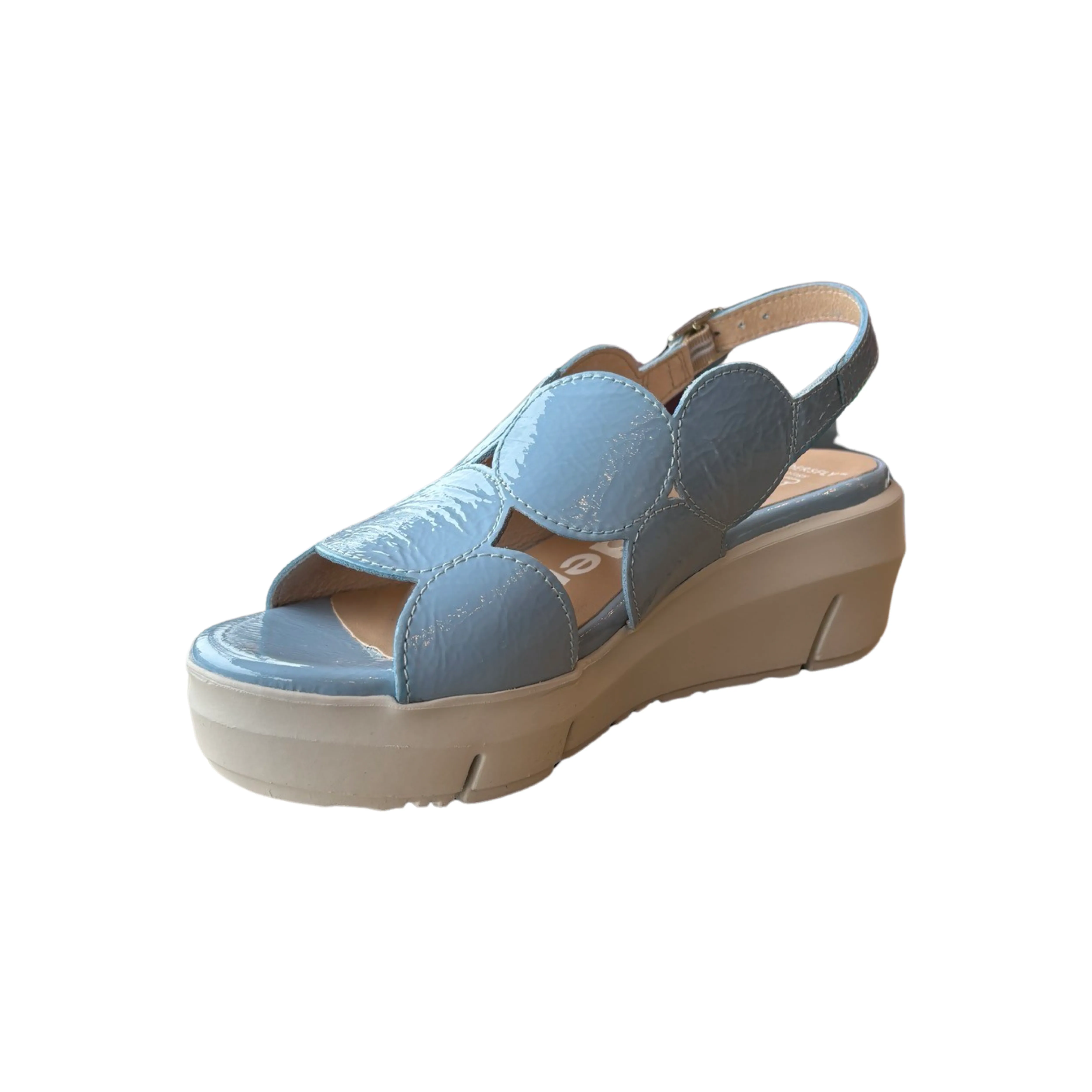 D8210 Blue Slingback Wedge