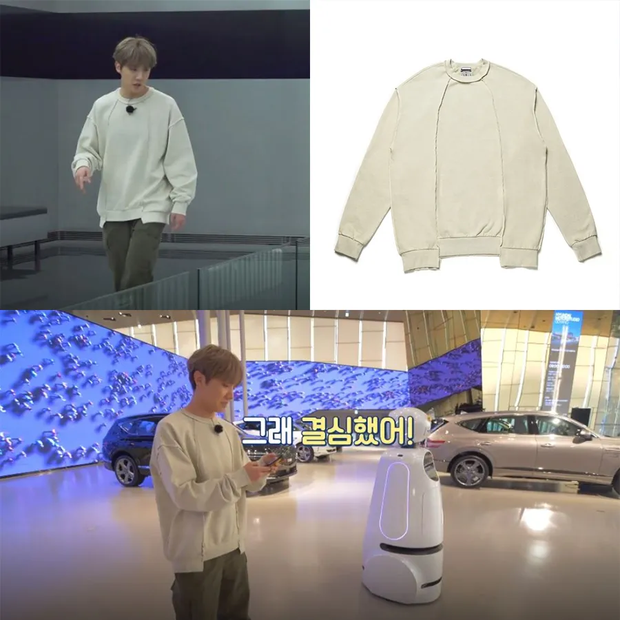 LE2  |BTS J Hope★LE2★Crazy pigment sweat shirt